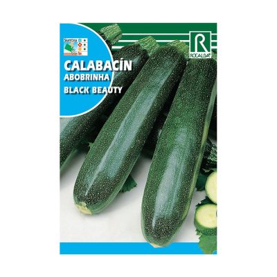 Semillas de Calabacín Black Beauty para Siembra y Cultivo