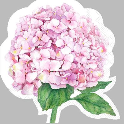 Set de 20 Servilletas de Papel 33 x 33 cm de 3 Capas con Hortensia Rosa