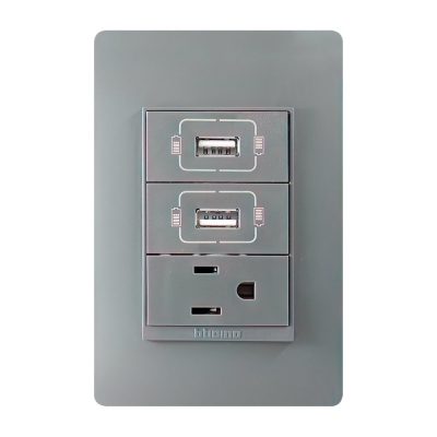Tomacorriente con 2 USB Tipo A Luzica Grafito 15 A