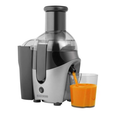 Extractor de Jugos de 500 W con 2 Velocidades Color Gris