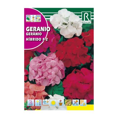 Semillas de Geranio Híbrido F2 Multicolor para Siembra y Cultivo