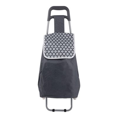 Carretilla de Compras Plegable 38.7 L de Acero con Bolsa de Poliéster Negro con Gris